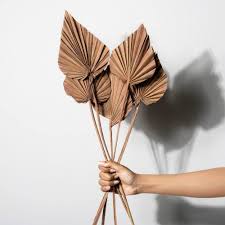 Palm Spear